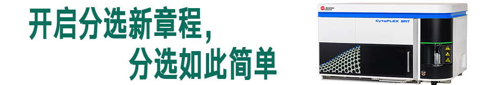 頂部幻燈片01